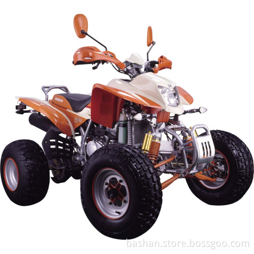 BS250S-11B atv